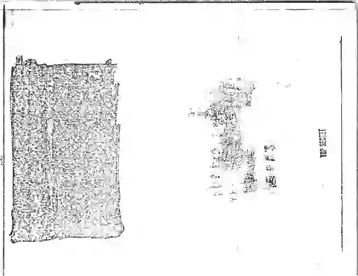 scanned image of document item 82/260