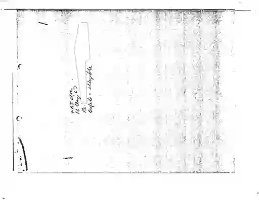 scanned image of document item 76/205